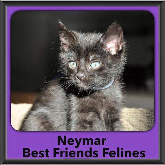 Photo of Neymar 