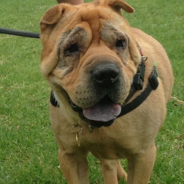 Photo of Ralph