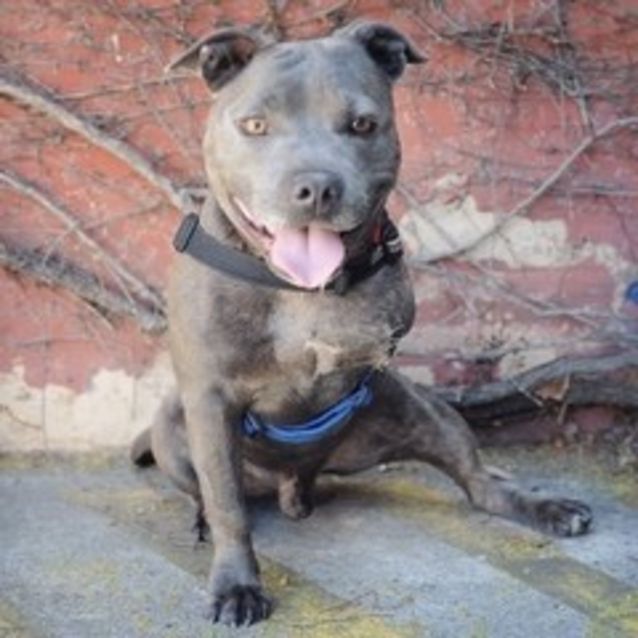 Photo of Spike