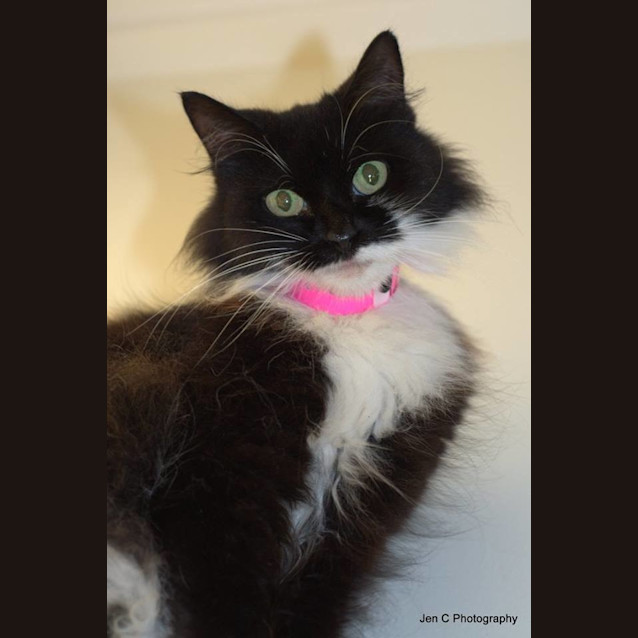 Photo of Isabella (1235)