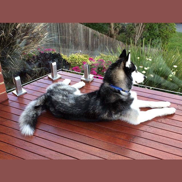 Photo of Togo