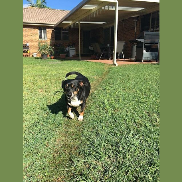 Photo of Lucy