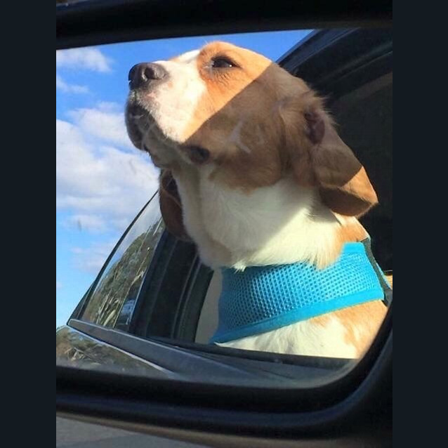 Photo of Charlie