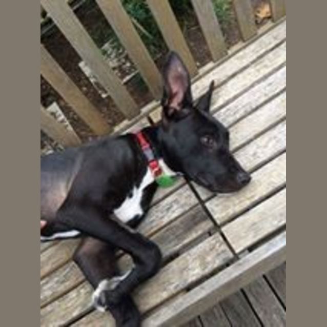Photo of Lyla