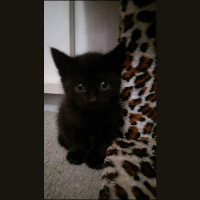 Photo of Jag