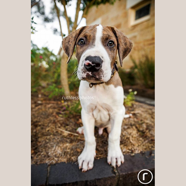 Photo of Murrumba