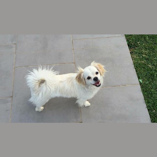 Photo of Jax