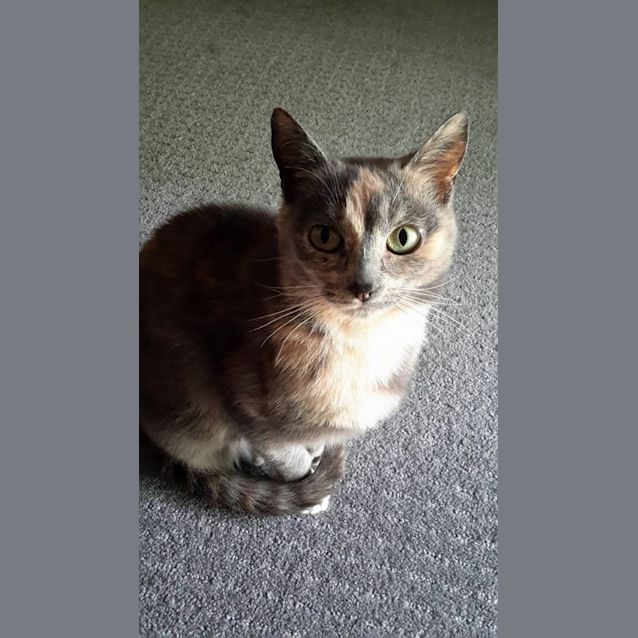 Photo of Addie *On Trial*