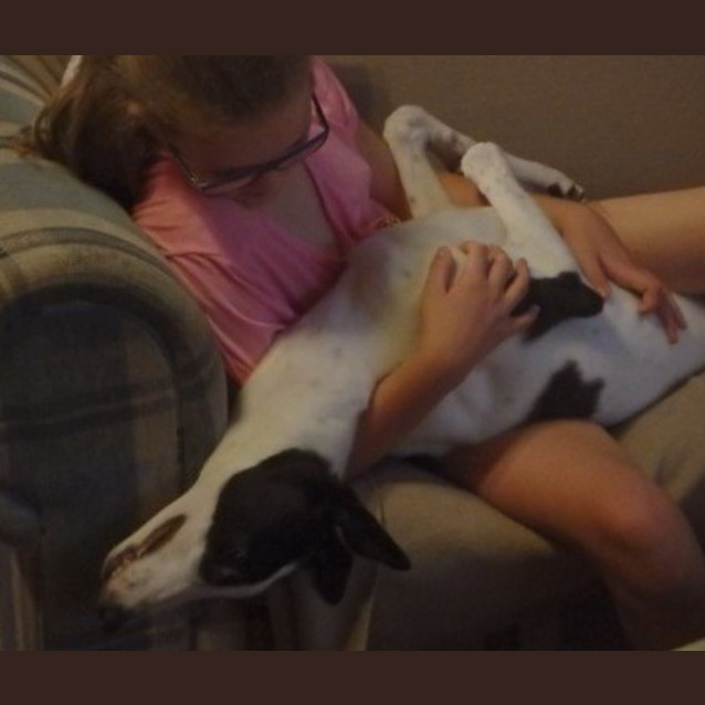 Photo of Buddy
