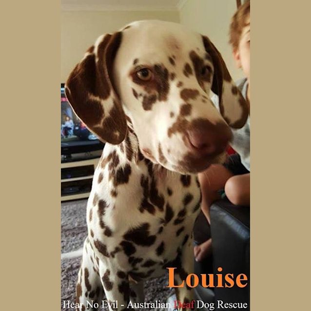 Photo of Louise