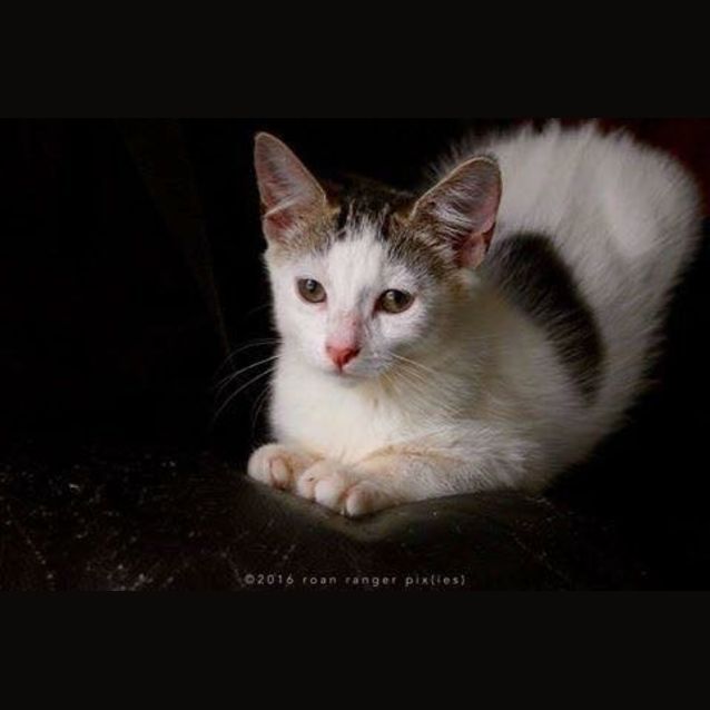 Photo of Candy