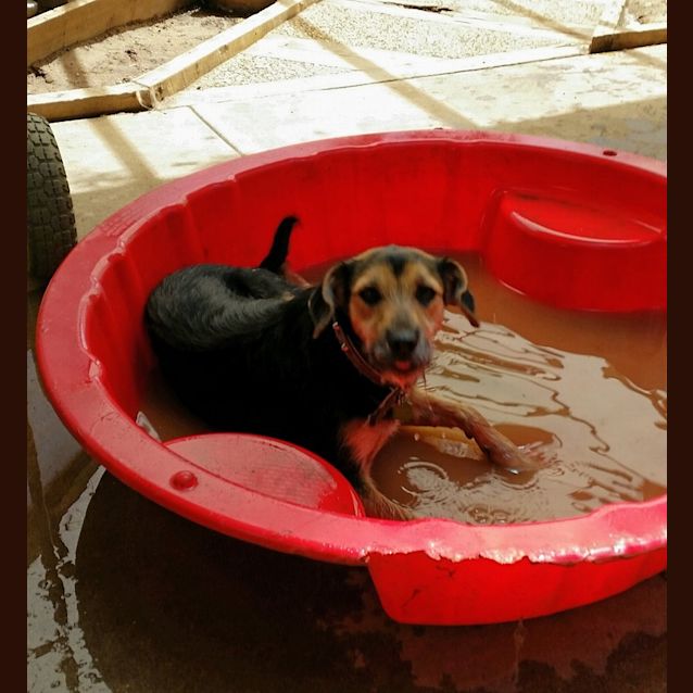 Photo of Holly