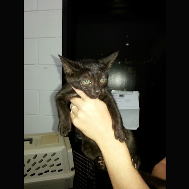 Photo of Buttermilk