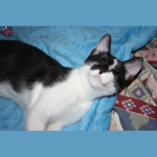 Photo of Evie 