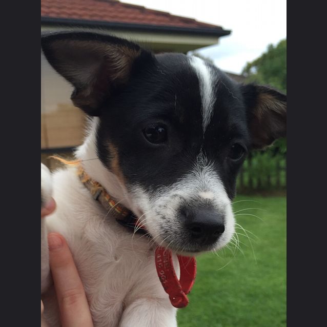 Photo of Pablo