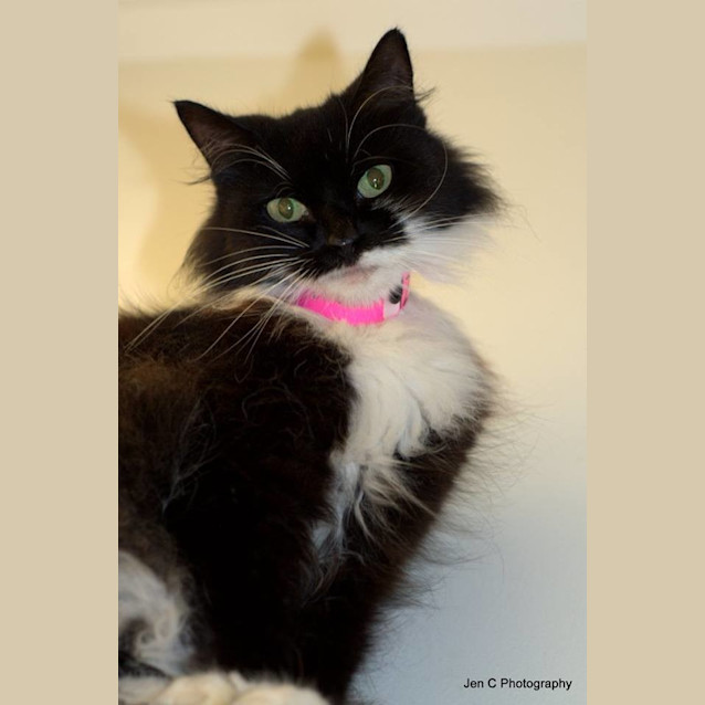 Photo of Isabella (1235)