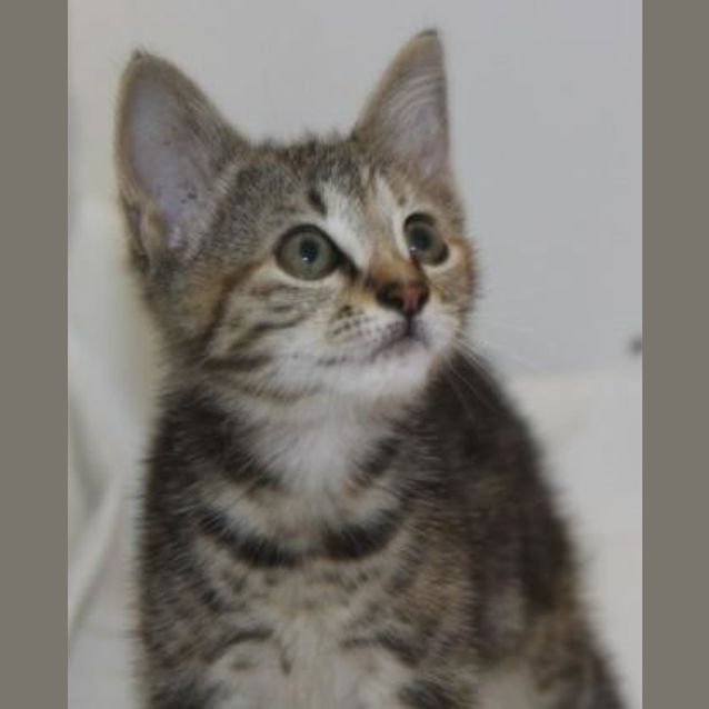 Photo of Tina