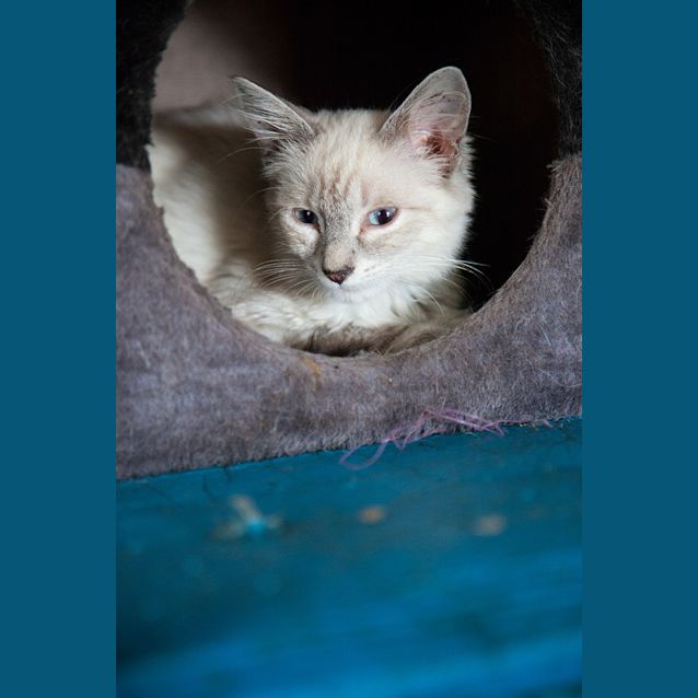 Photo of Benson