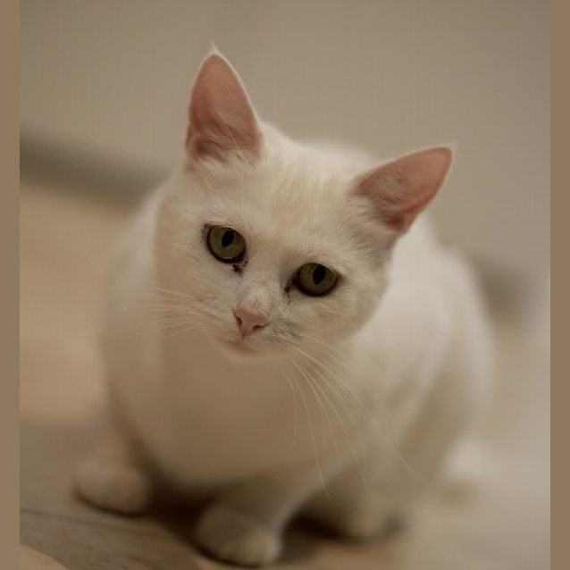 Photo of Mabel