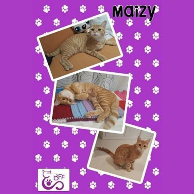 Photo of Maizy 