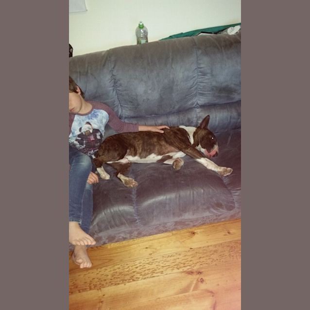 Photo of Fudge (Aka Magic Mike)