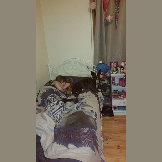 Photo of Fudge (Aka Magic Mike)