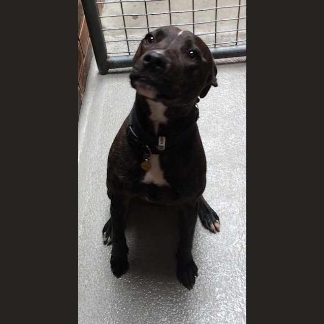 Photo of Axle