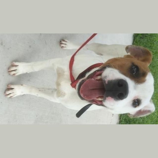 Photo of Bronx