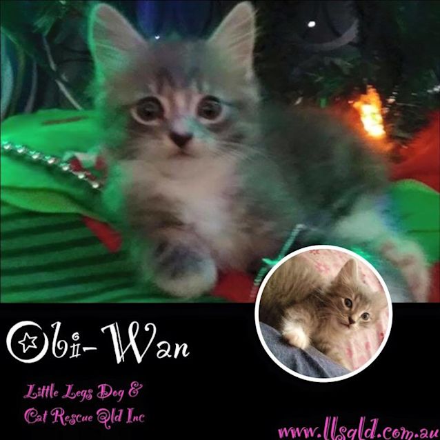 Photo of Obi Wan