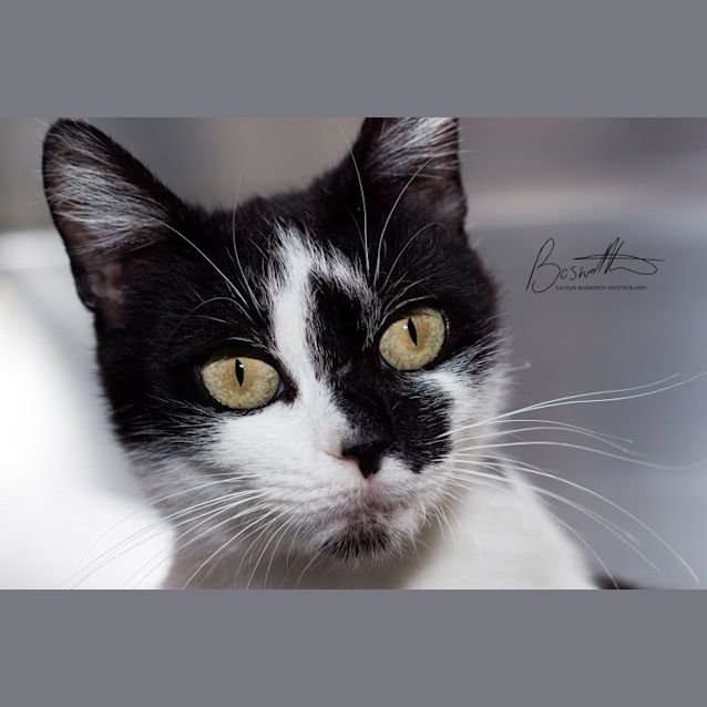 Photo of Tess