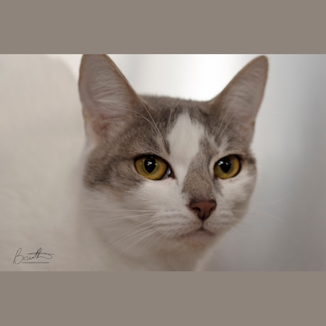 Photo of Zoe