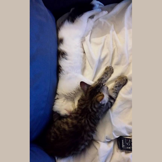 Photo of Manny & Charlie