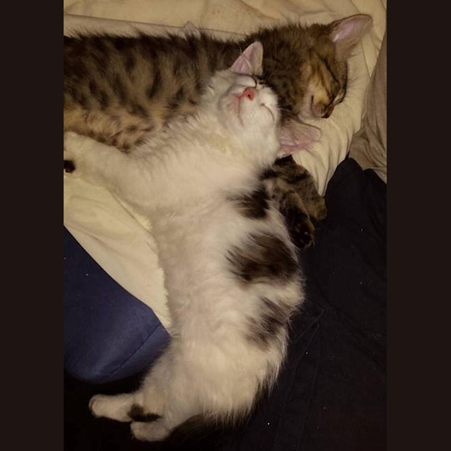 Photo of Manny & Charlie