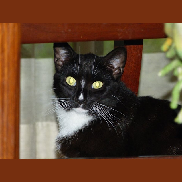 Photo of Lilly