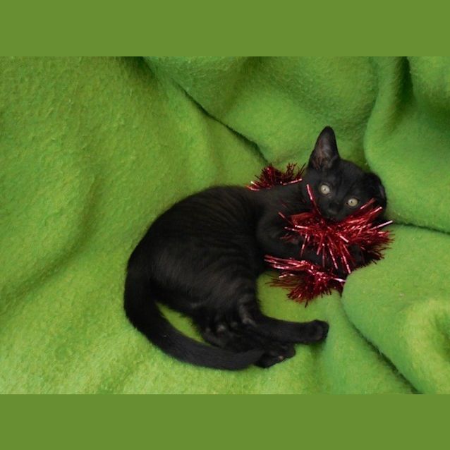 Photo of Lexi Ec0167