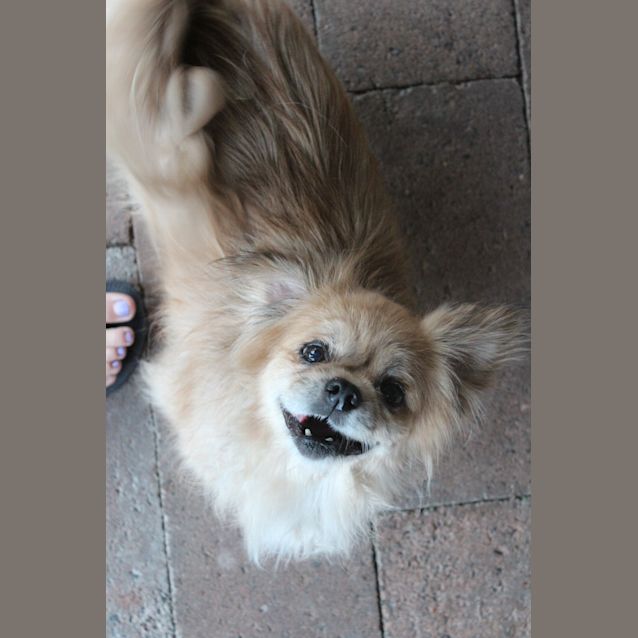 Photo of Cookie And Spell