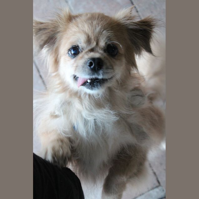 Photo of Cookie And Spell