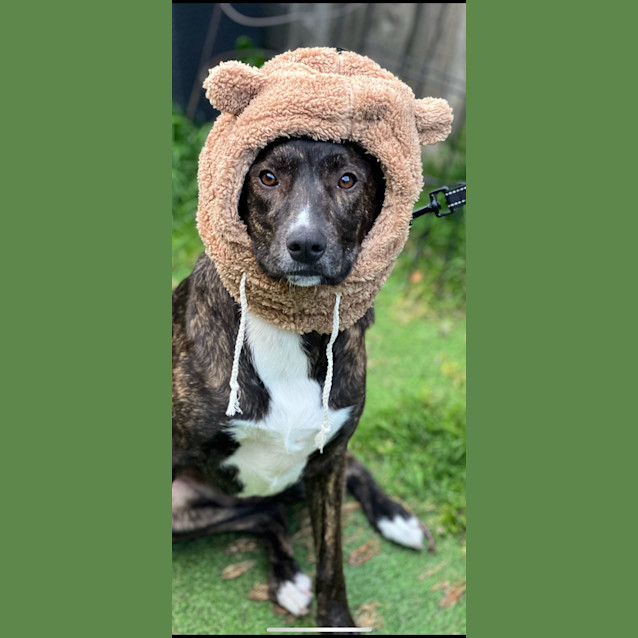 Photo of Trixi Lou 