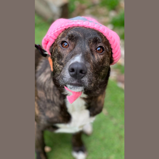 Photo of Trixi Lou 