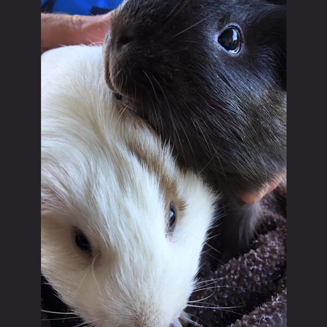 Photo of Candy And Nibbles