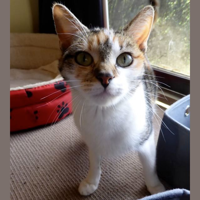 Photo of Jemima