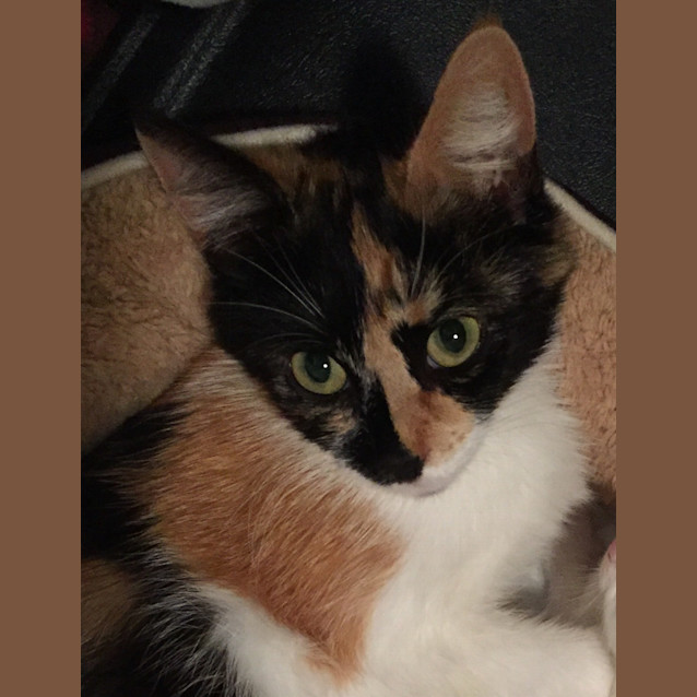 Photo of Princess