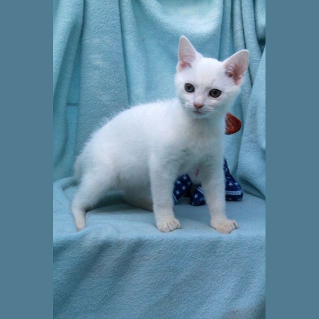 Photo of Cloud