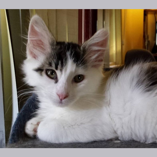 Photo of Manny & Charlie