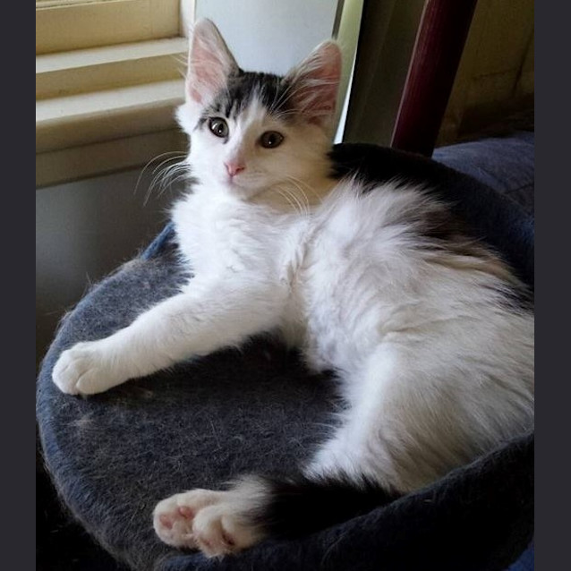 Photo of Manny & Charlie