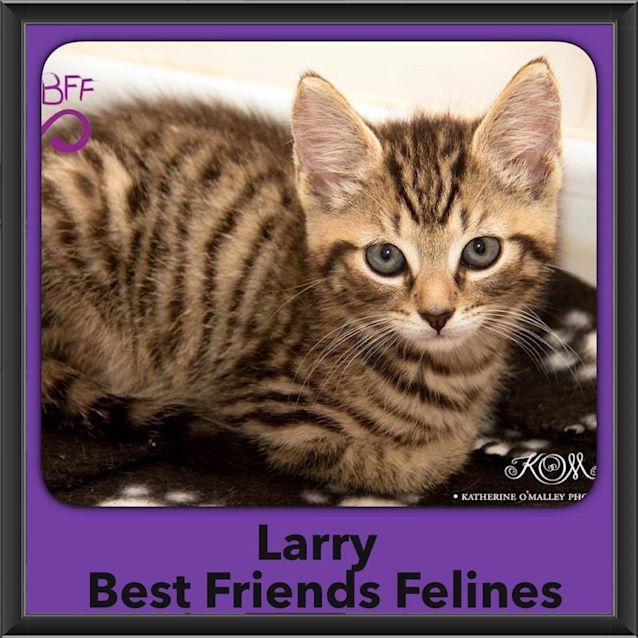 Photo of Larry 