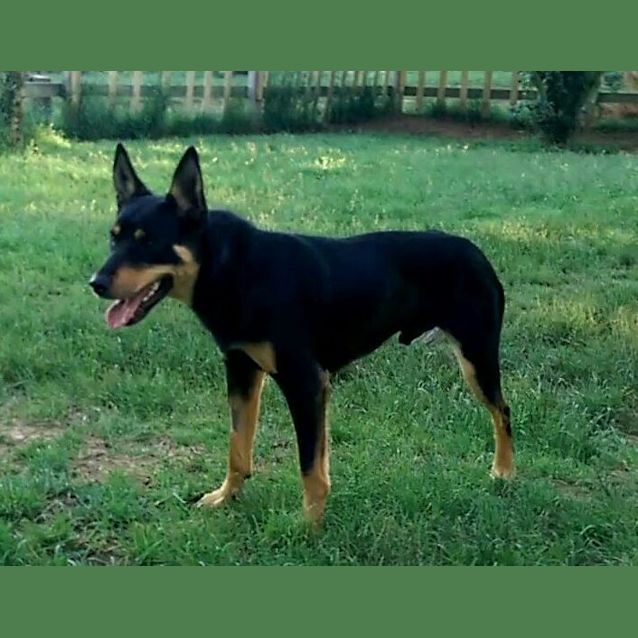 Photo of Sly