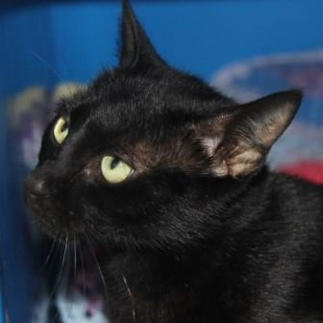 Photo of Cinders