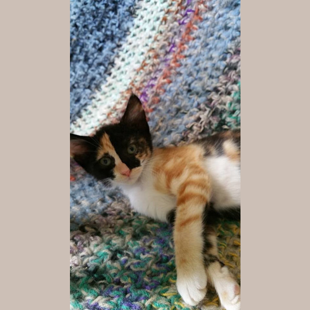 Photo of Matilda