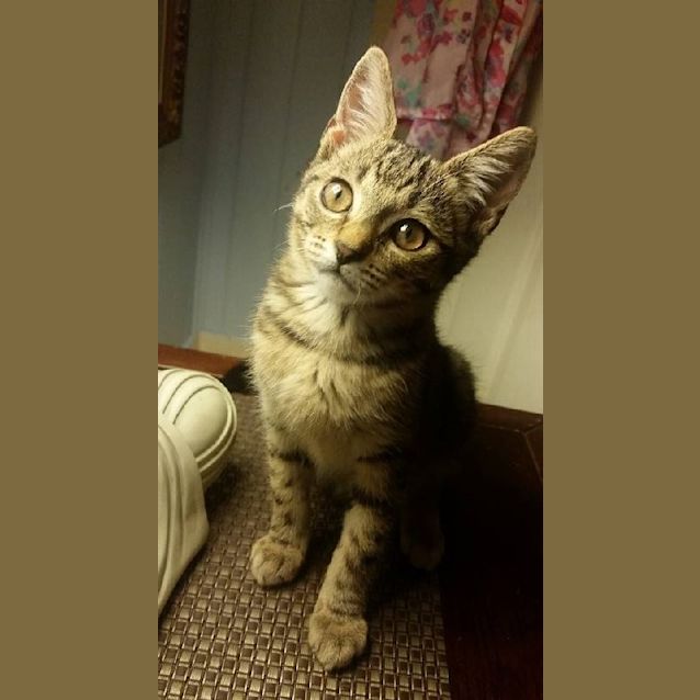 Photo of Lila